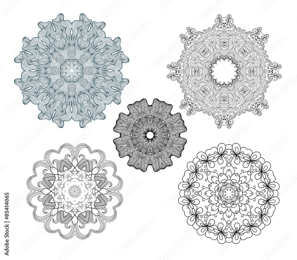 Fototapeta premium Collection of fancy vector round ornaments.