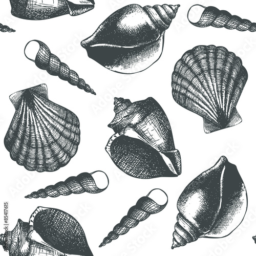 Vintage background with ink hand drawn sea shells. Seamless vector pattern