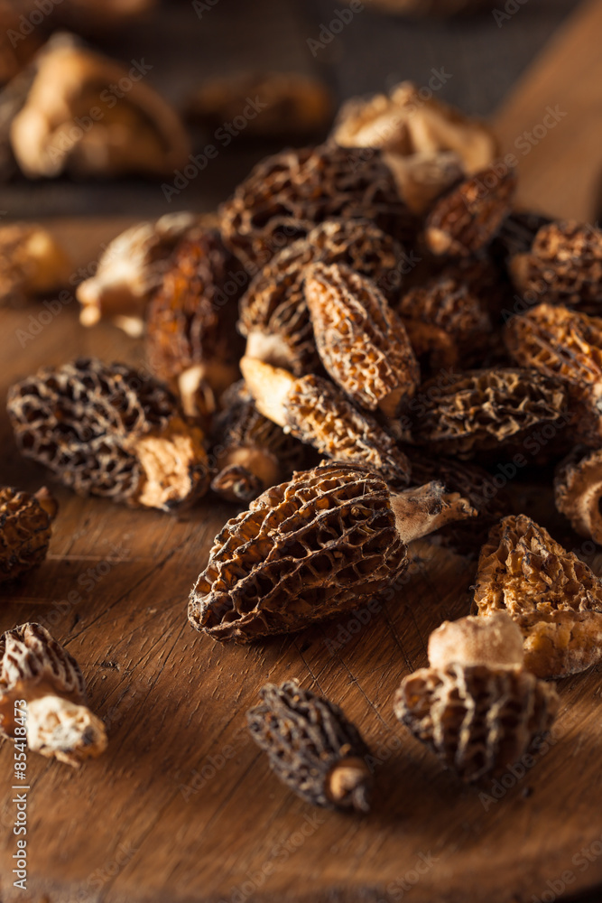 Obraz premium Raw Organic Morel Mushrooms