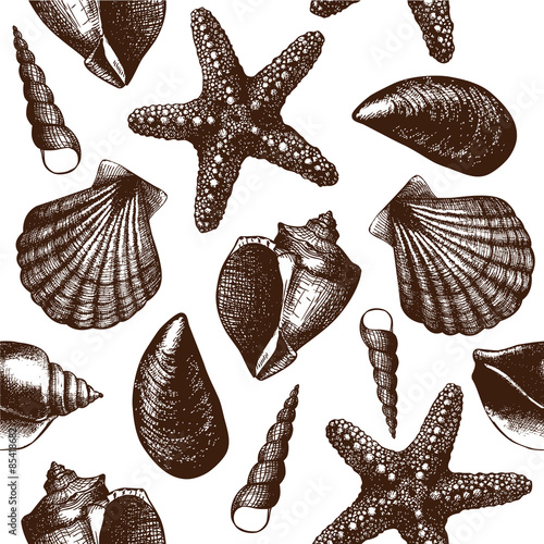 Vintage background with ink hand drawn sea shells. Seamless vector pattern