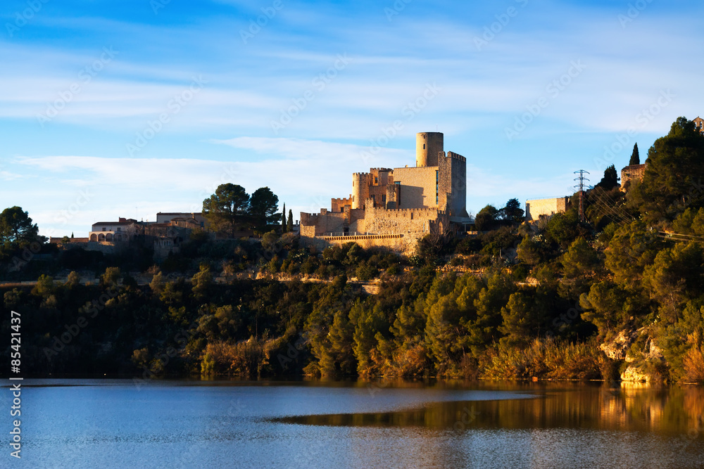  Castle of Castellet