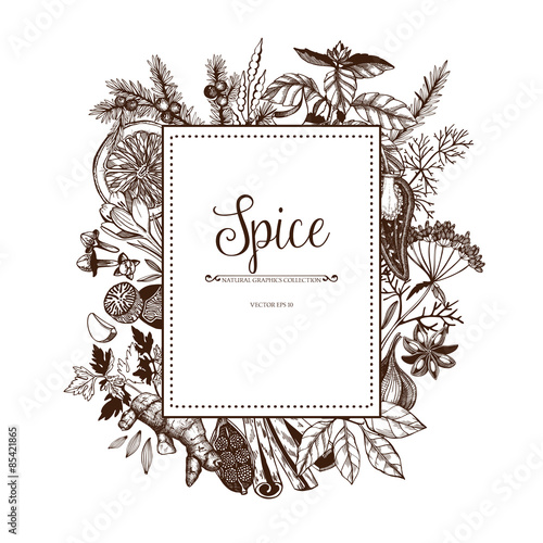 Vector card design with hand drawn spices and herbs. Decorative colorful background with vintage spice sketch.