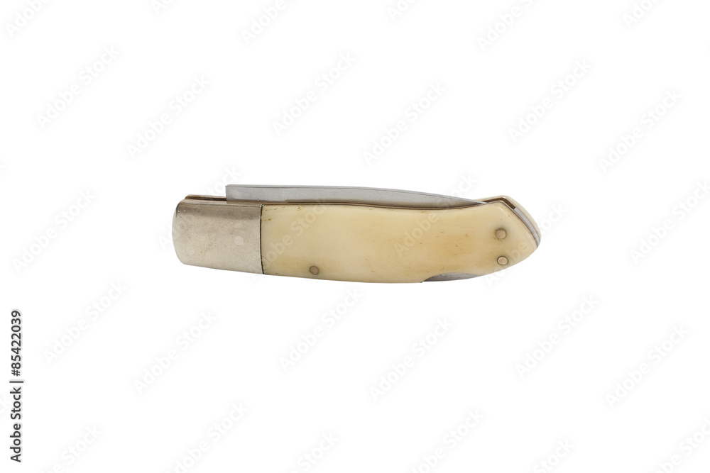White Bone Handle Lockback Folding Knife, isolated on white back