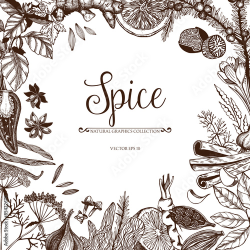 Vector card design with hand drawn spices and herbs. Decorative colorful background with vintage spice sketch.