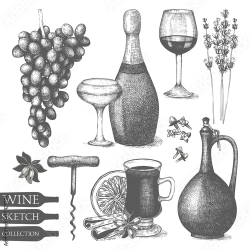 Vector set of ink hand drawn wine illustration  for menu or restaurant design