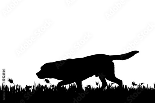 Vector silhouette.