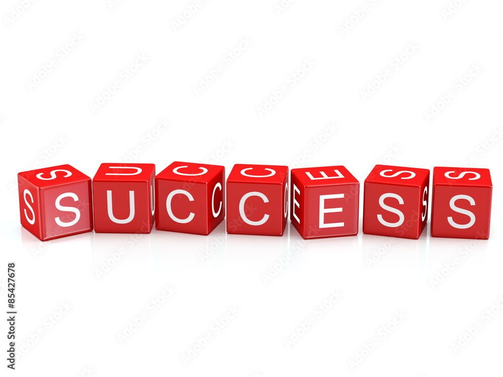 Success- Alphabet blocks isolated Success- Alphabet blocks isolated