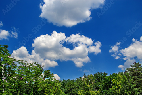 beautiful clouds in summer days