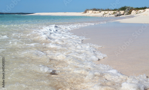 Caribbean Waves