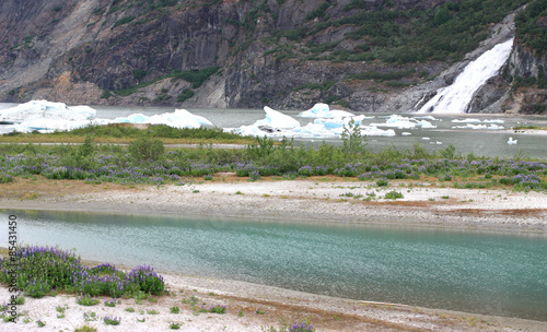 Mendenhall Glacier National Park in Juneau Alaska