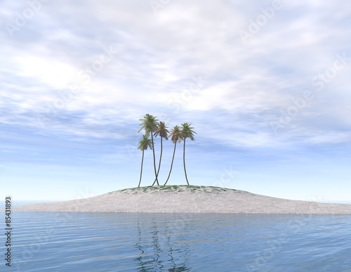 Deserted island With Palm Trees