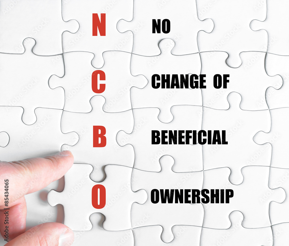 Last puzzle piece with Business Acronym NCBO Last puzzle piece with Business Acronym NCBO