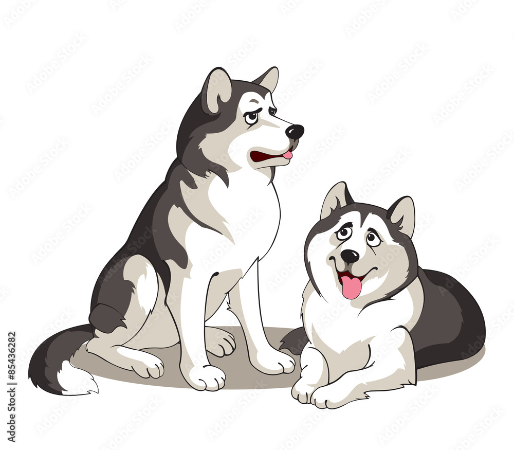 Obraz premium Pair of Alaskan Malamutes