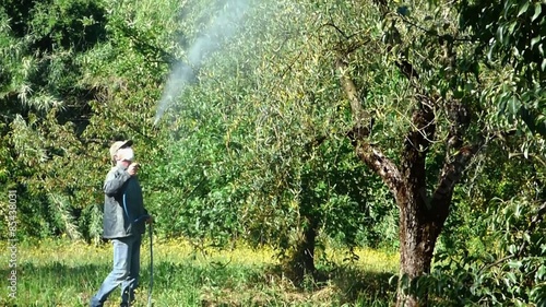 watering olives with pesticide