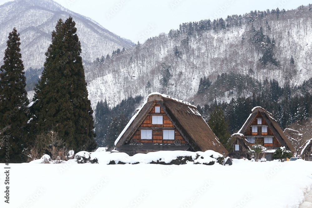 Obraz premium Shirakawa go village hut
