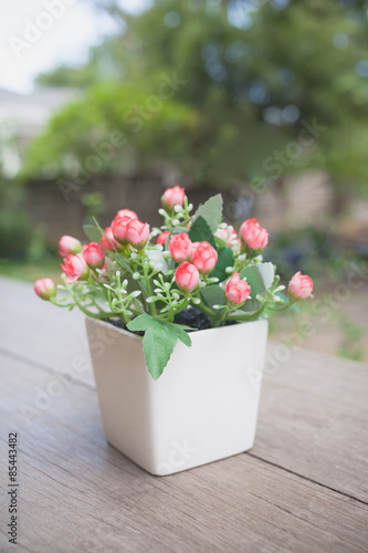 Beautiful pink flowers in pot on nature background