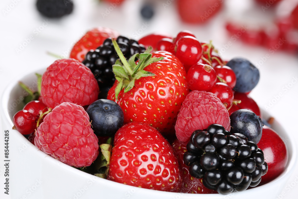 Beeren Und Früchte: Erkennen Und Sammeln • Das Wissen – YQVFZN