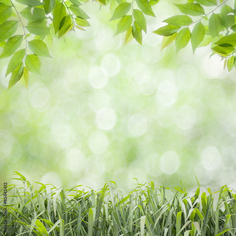 fresh green leaves natural green background fresh green leaves natural green background