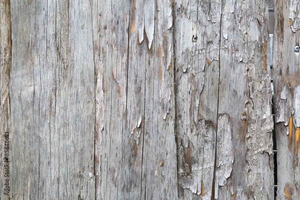 Naklejka premium Ahşap Dokusu