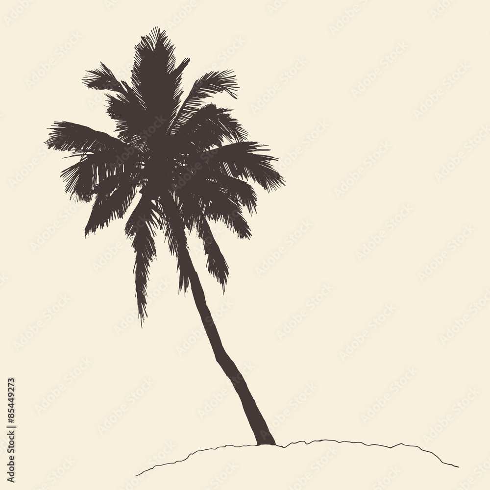 Obraz premium Palm tree Bounty vintage engraving vector illustration hand drawn