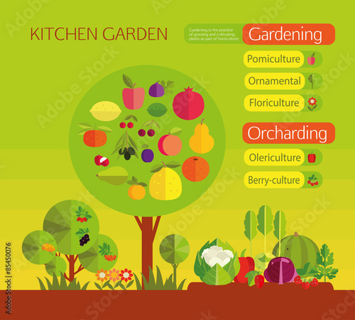 kitchen garden