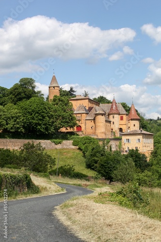 Castle of Jarnioux in Beaujolais, France photo