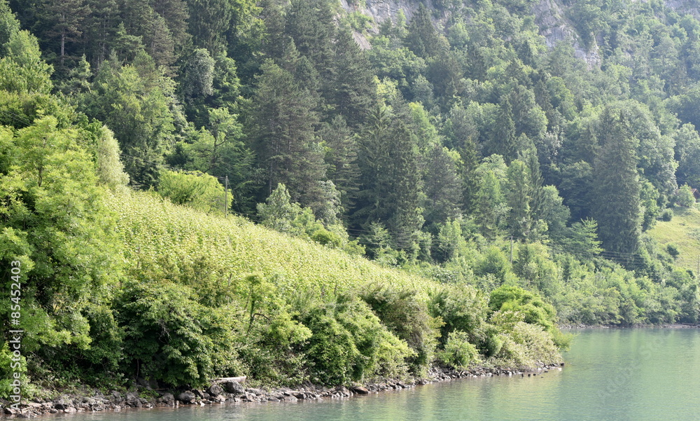 Quinten....walensee Quinten....walensee