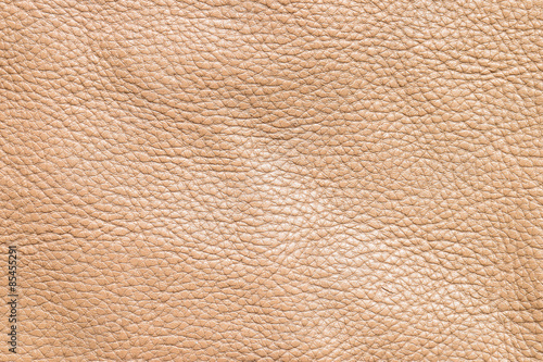 Brown Leather texture