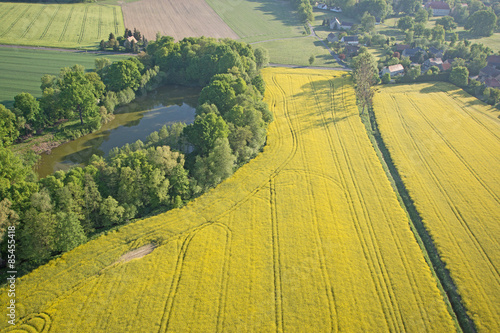 Rapsfeld und Bäume, Luftbild