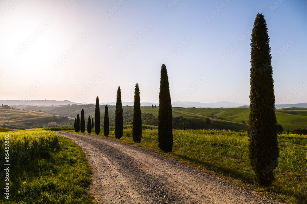 Fototapeta premium A country road in Tuscany, Italy.