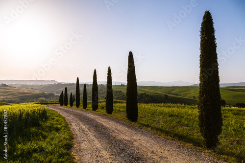 A country road in Tuscany  Italy.