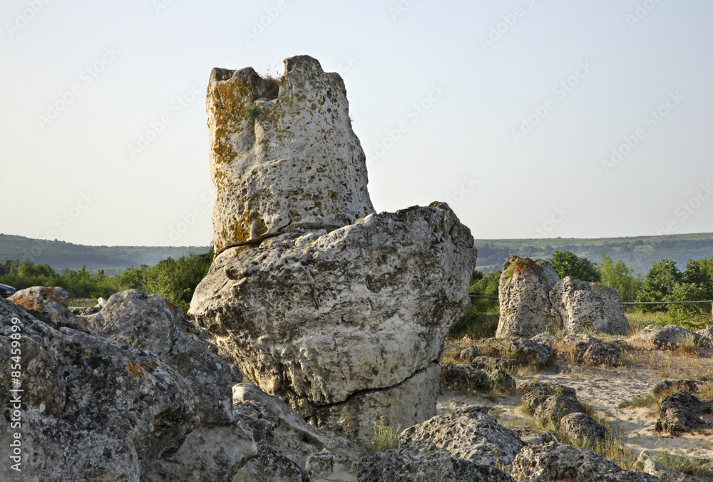 Pobiti Kamani (Stone forest) near Varna. Bulgaria