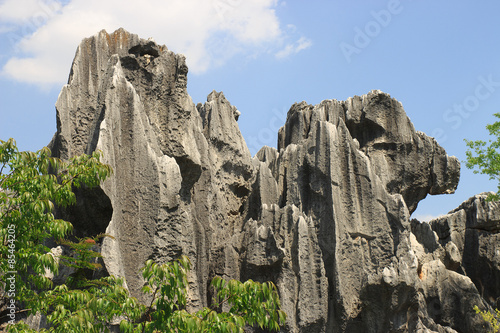 Karst Stone Forest, Kunming, China © phraisohn