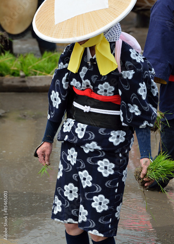 Wallpaper Mural 早乙女 Torontodigital.ca