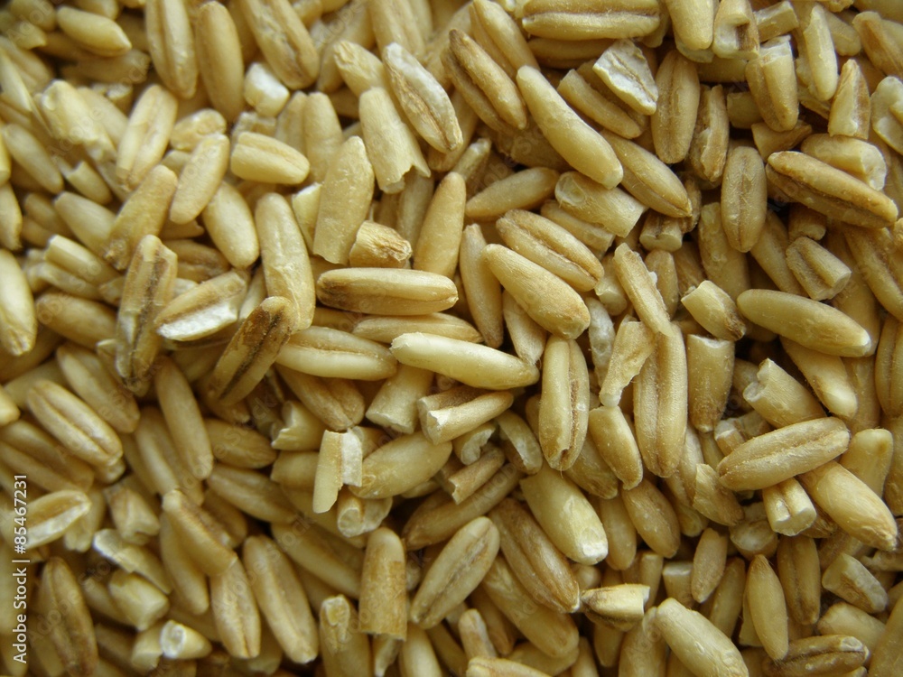 Grain 2.Texture of grains and seeds. Grain 2.Texture of grains and seeds.