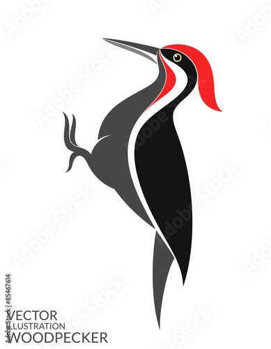 Woodpecker