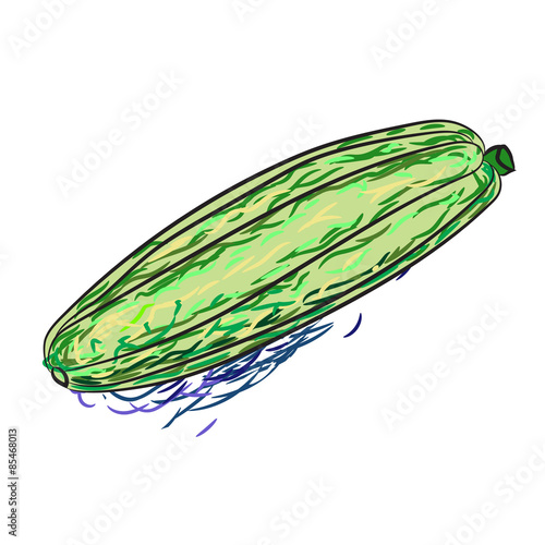 painted vegetable marrow