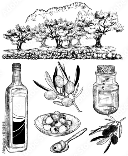 Vector hand-drawn sketch set of olive products