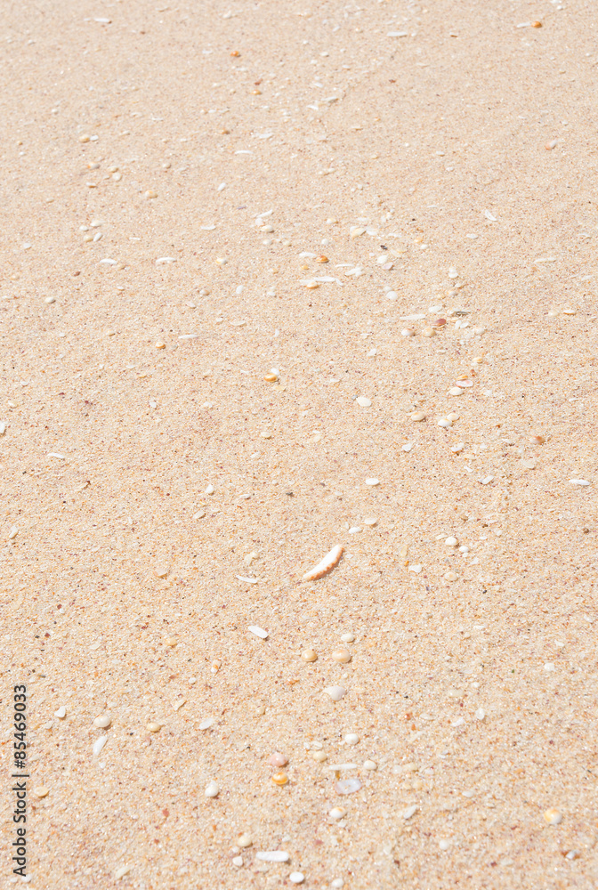 Sand texture with subtle lines Sri Lanka, Asia. Sand texture with subtle lines Sri Lanka, Asia.