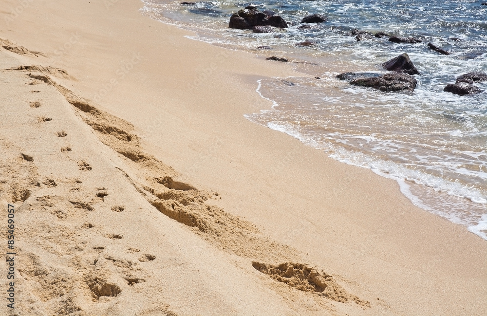 Foot tracks in deep soft sand in Sri Lanka, Asia.