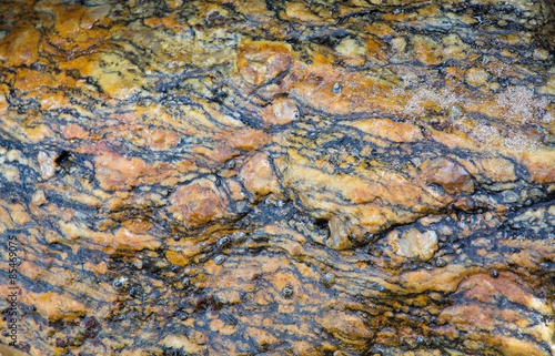 Gneiss metamorphic rock pattern closeup on a beach in Sri Lanka, Asia.