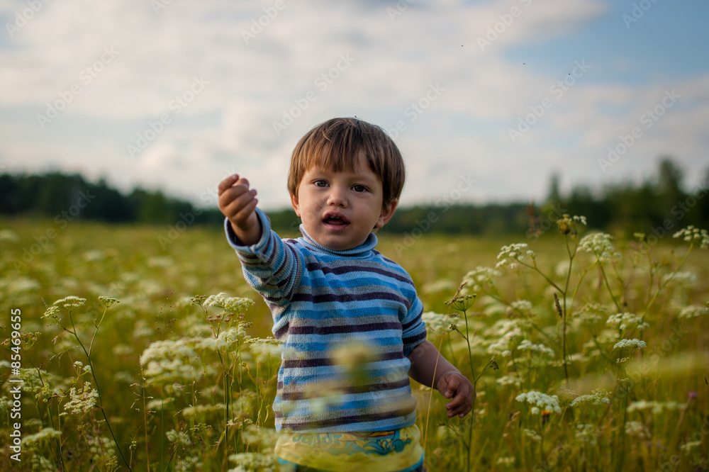 Boy 2 years in a field Boy 2 years in a field
