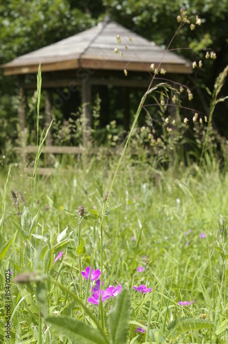 Wooden pavilion in a forest glade with flowers