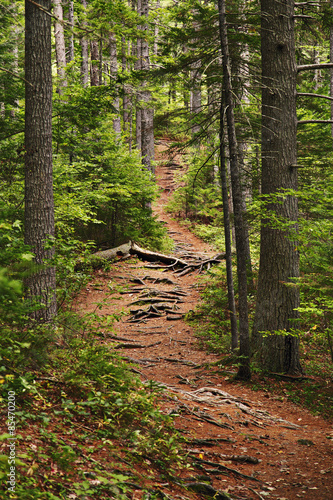 Wanderweg