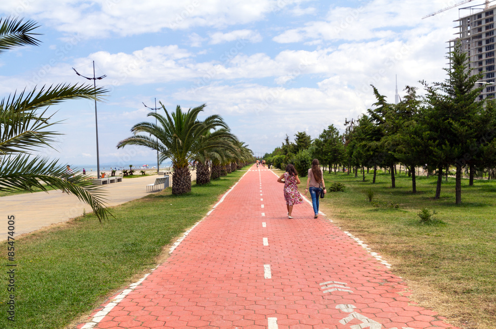 Bicycle path between green palms in Batumi seaside park Bicycle path between green palms in Batumi seaside park