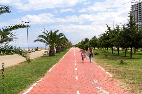 Bicycle path between green palms in Batumi seaside park