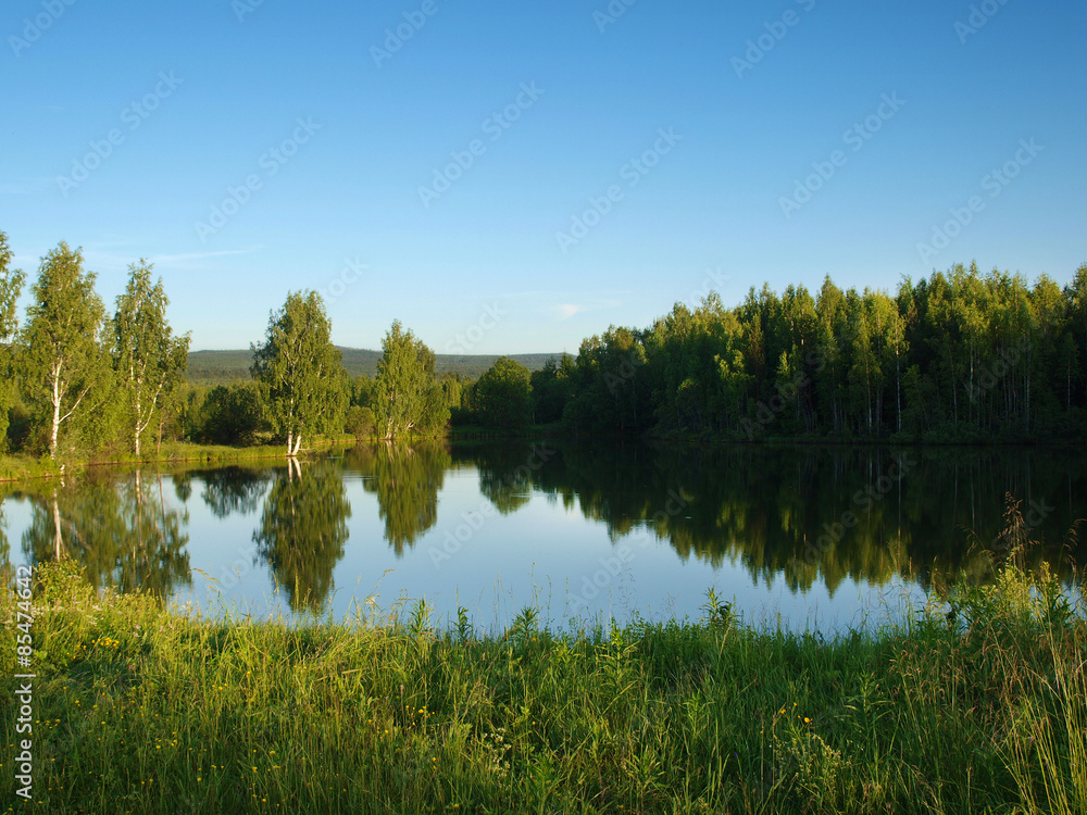 Silent lake near green forest