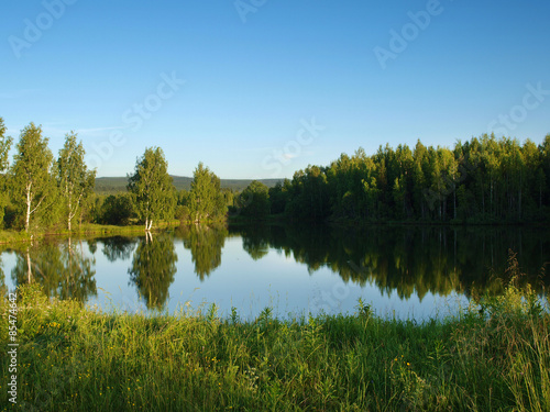 Silent lake near green forest