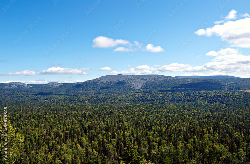 Ural mountains in summer. Russia