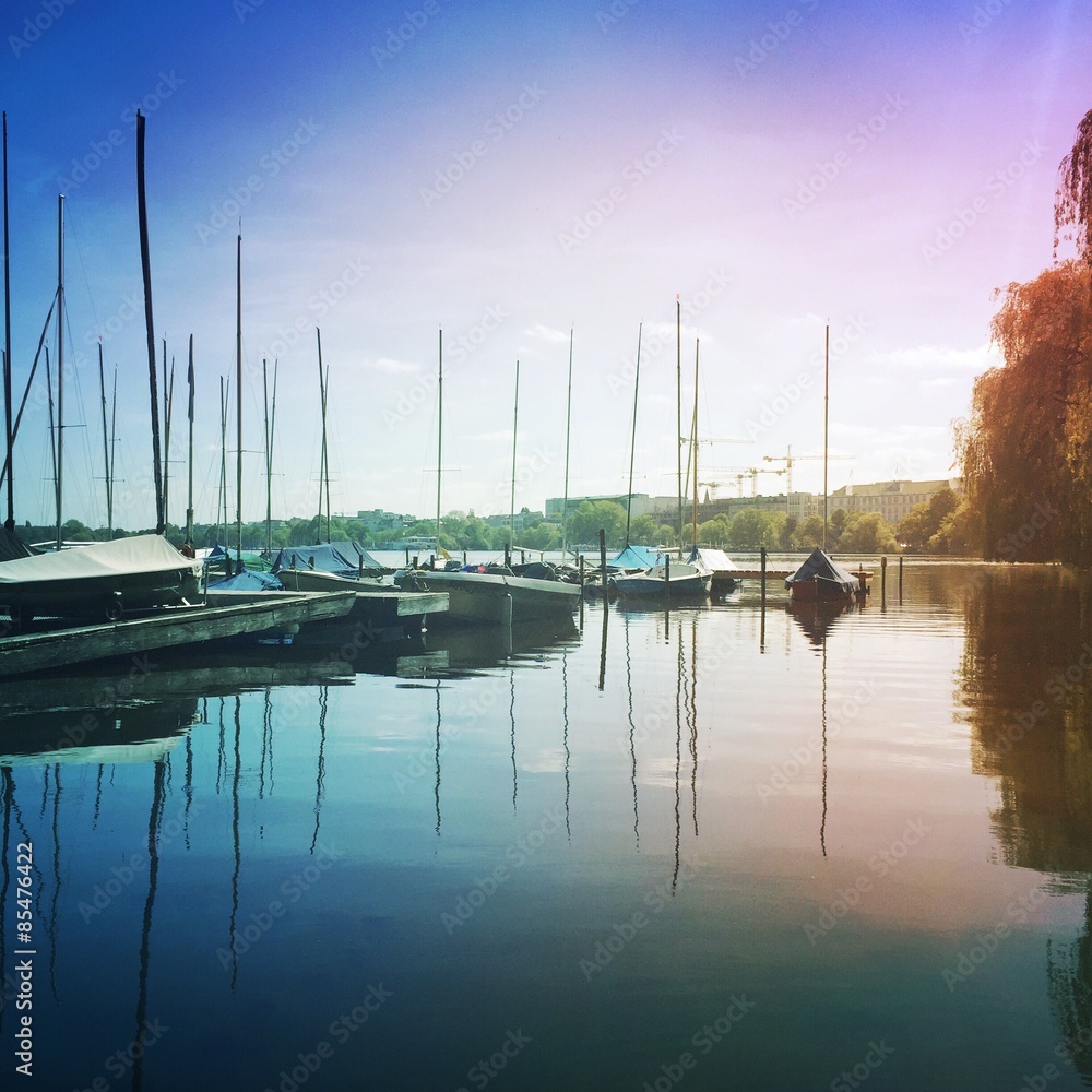 Fototapeta premium sunshine